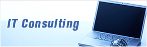 IT consulting and designing 